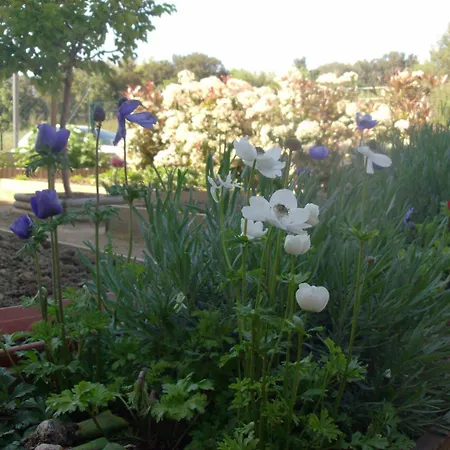 Aghjanella Bed and Breakfast