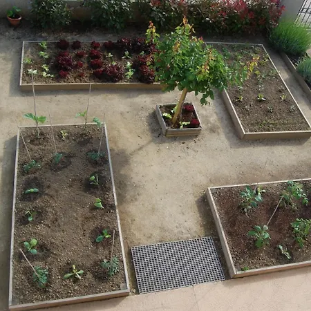 Aghjanella Frühstückspension Patrimonio