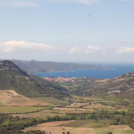 Aghjanella
