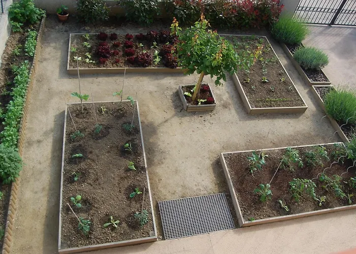 Aghjanella Frühstückspension Patrimonio