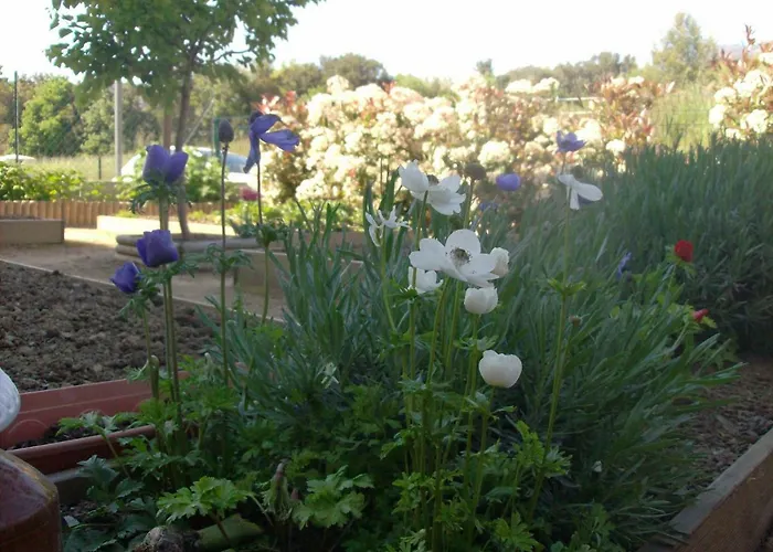 Aghjanella Patrimonio